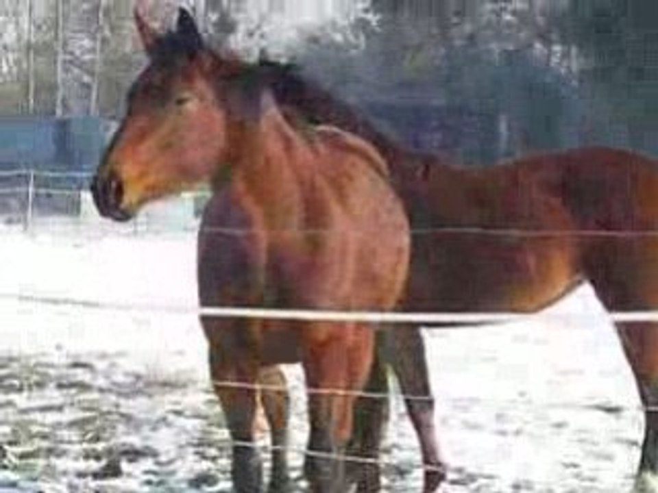 la course de uky