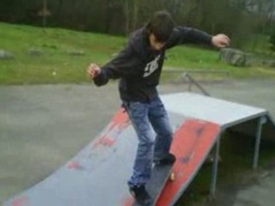 NEW MONTAGE SKATE 2009