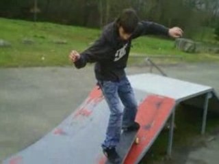 NEW MONTAGE SKATE 2009