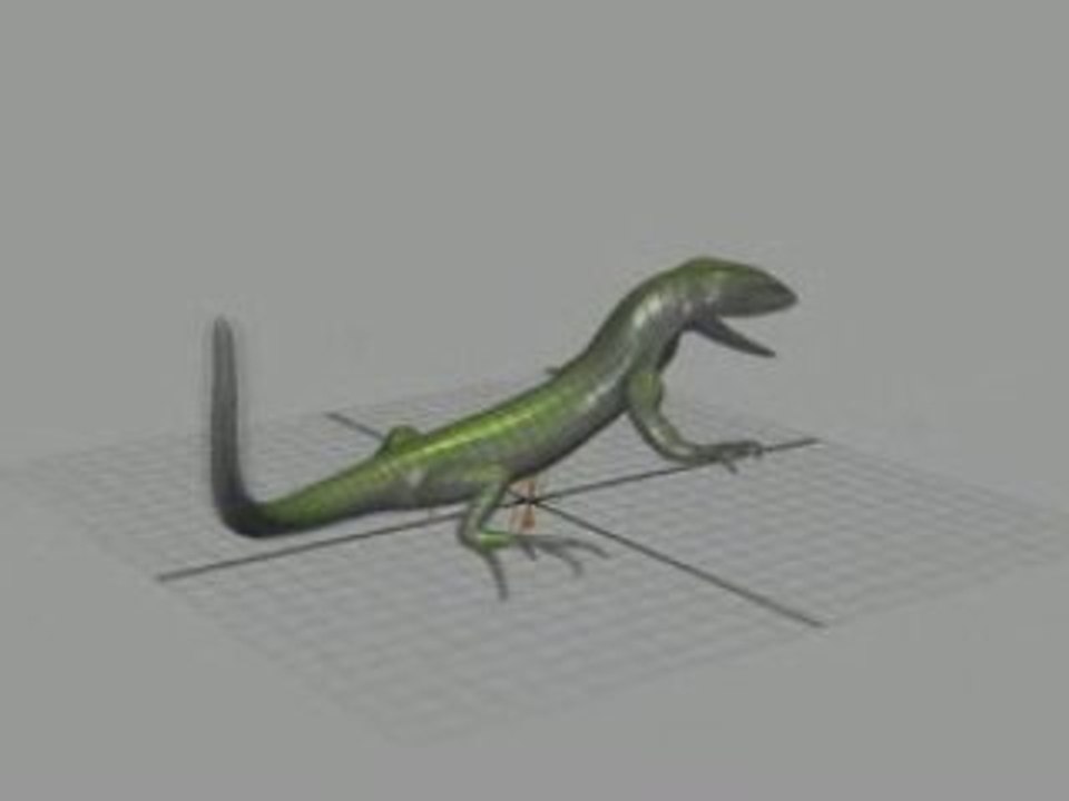 Lezard modé de base.