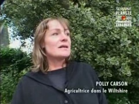 Ovni- cercles extraterrestres (2 de 7)