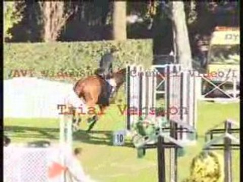Caballo entero de 8 años por Le Tot de Semilly