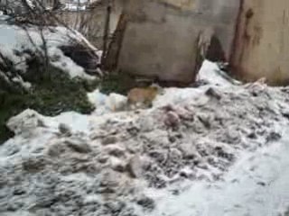 Yenişehir Kirazlıyayla köyü kar ve buzda bisiklet sürüşü...