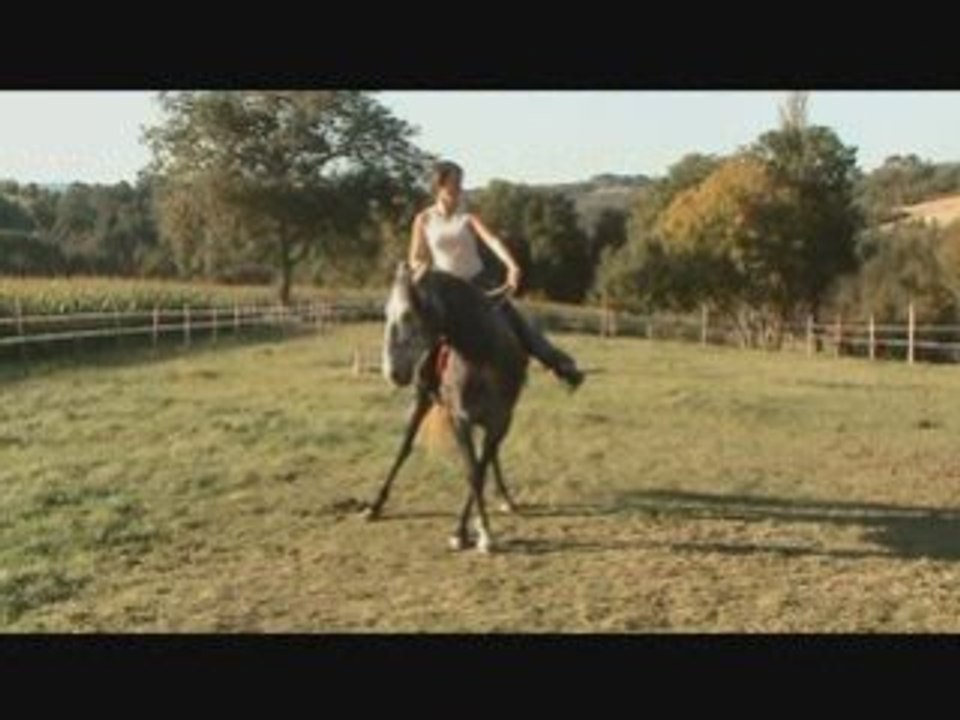 Chevaux neige 01 091