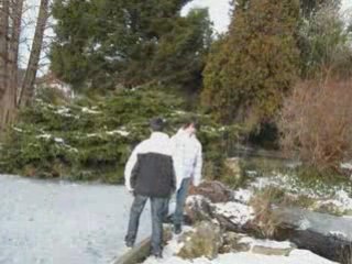 Parc Janvier 2009
