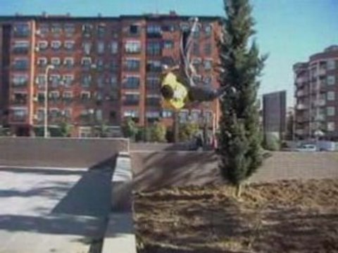 Ust [[ Tomas sueltas 2008 ]]