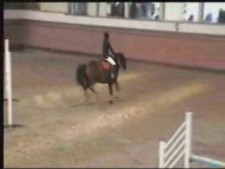 cso dinard club2