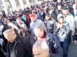 MANIF PALESTINE-TOULON 01