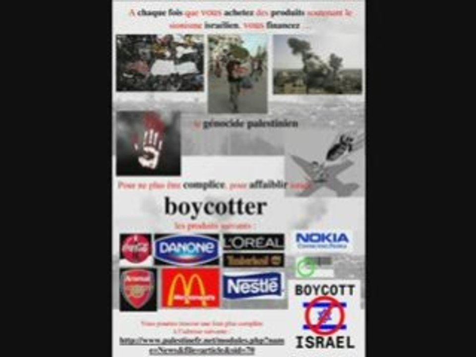 Manif Nîmes - Gaza - 10012009 - Partie 2