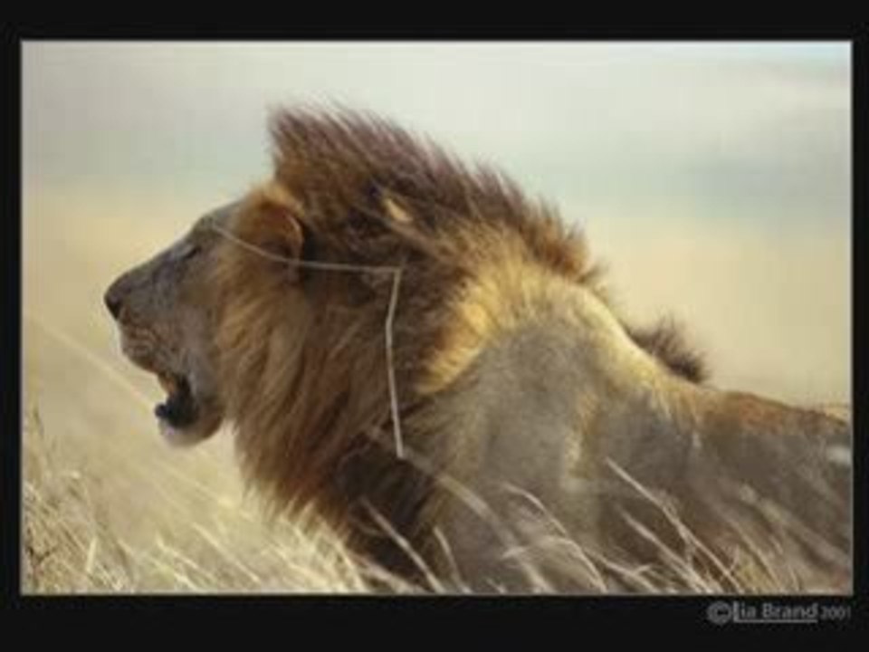 The Itals - Jah Glory