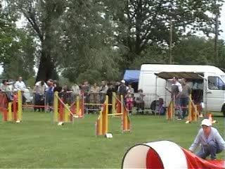 st doulchard JUMPING