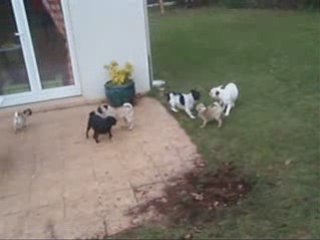 Heracles le 1er jours