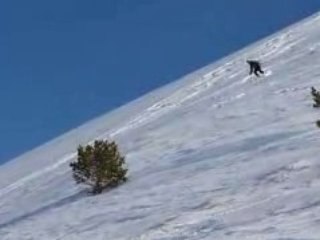 Grande cloche de barles