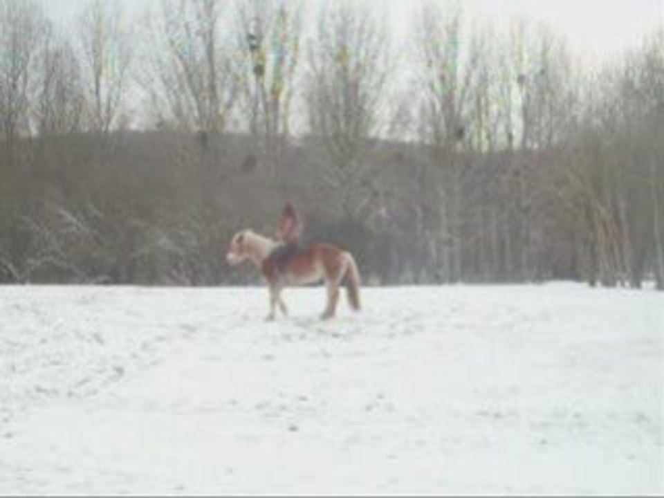 Neige