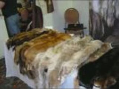 l'horreur des souffrances animal