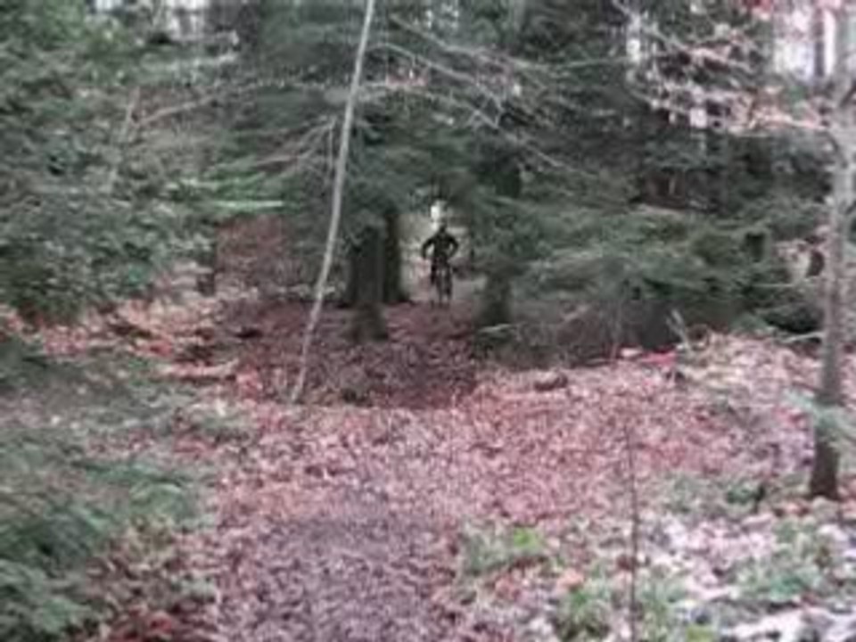 vtt