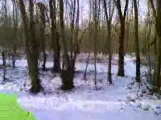 Tandem - Bois Vincennes