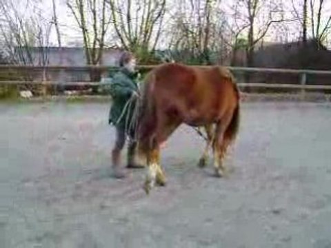 Thalya et nos débuts en Ethologie