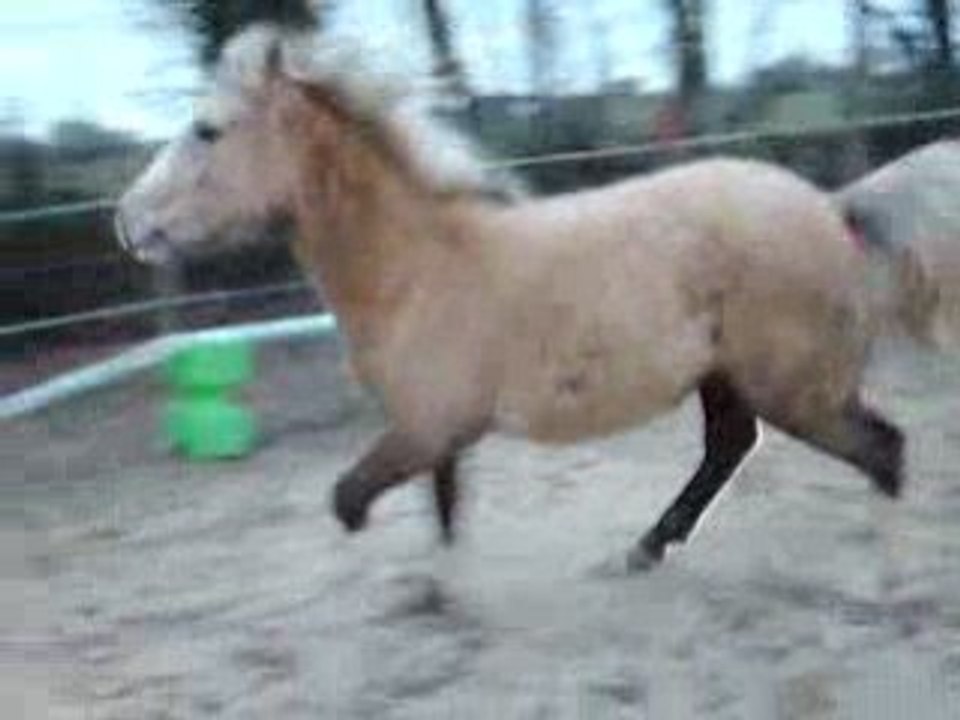 Films janvier 2009 019