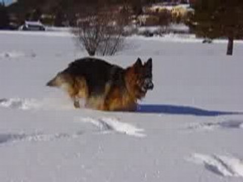 2009.01.11 greolieres- les- neiges 017