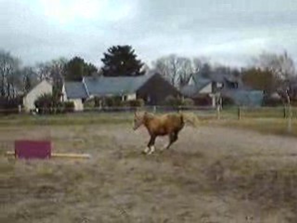 Films janvier 2009 021