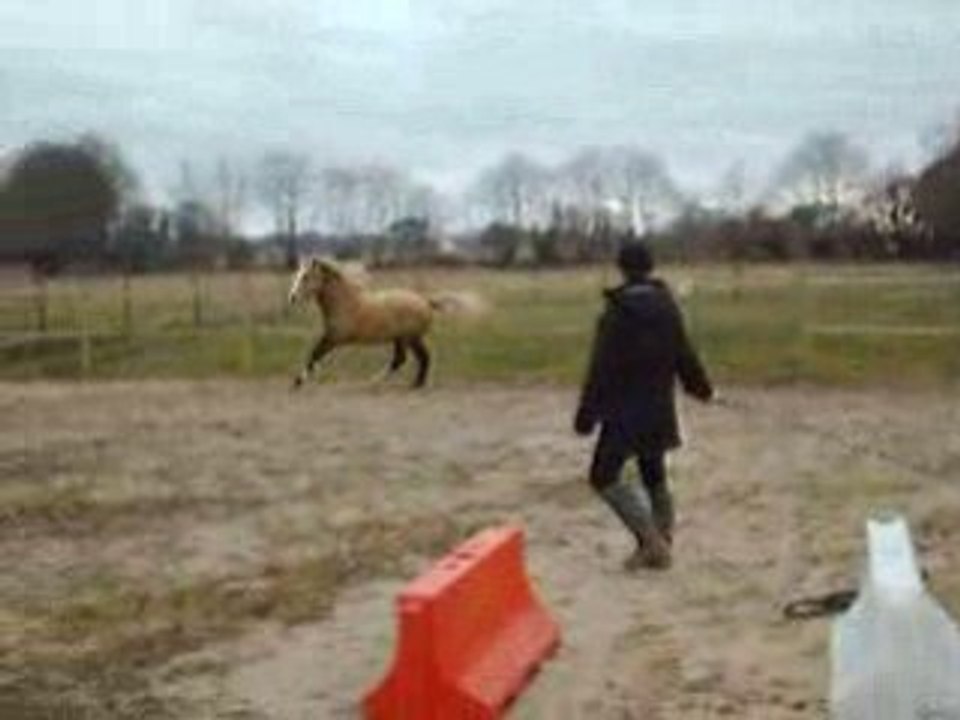 Films janvier 2009 022