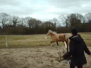 Films janvier 2009 033