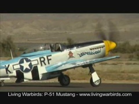 P-51 Mustang Six Shooter - Living Warbirds: Raw Action