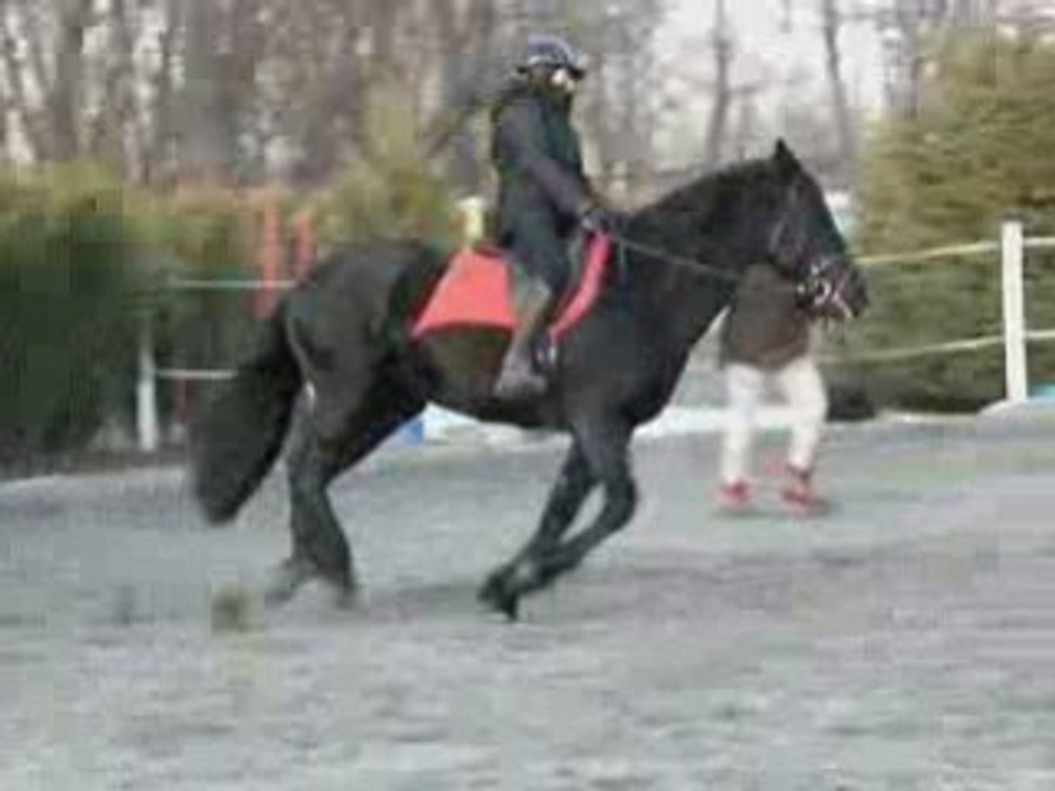Galop Carole