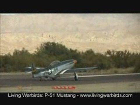 P-51 Mustang Wee Willy - Living Warbirds: Raw Action