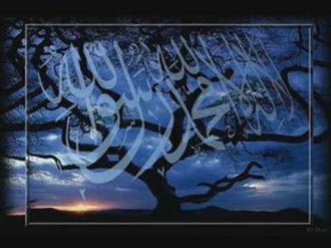 Sache Que P.R RAP RAP DE NANTERRE