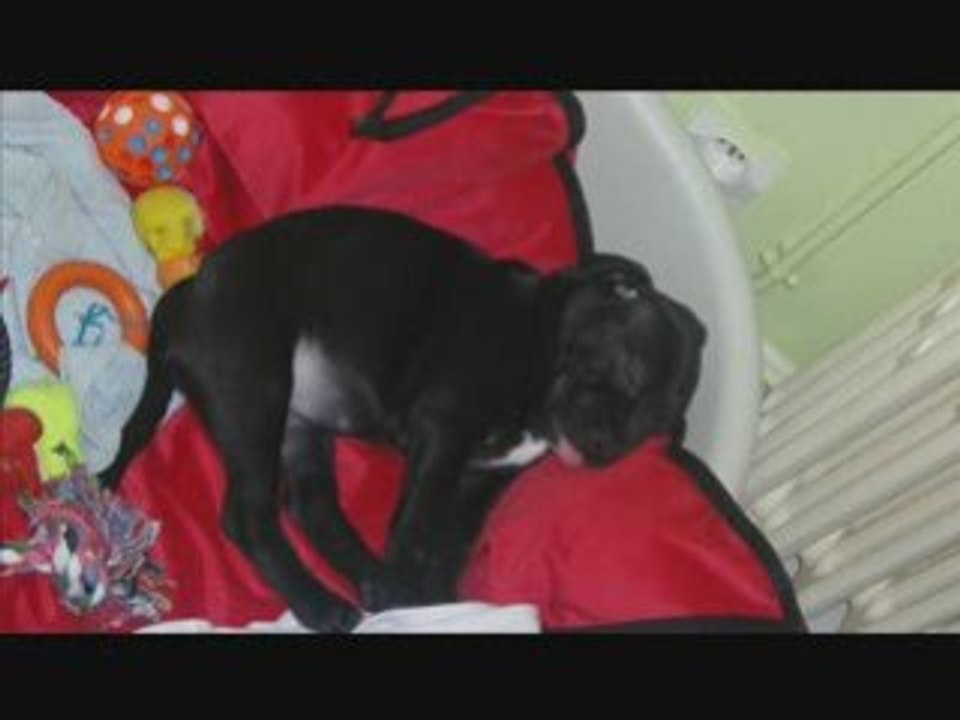 Degga_0001