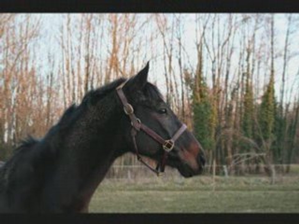 Doudou en hiver 2008 2009