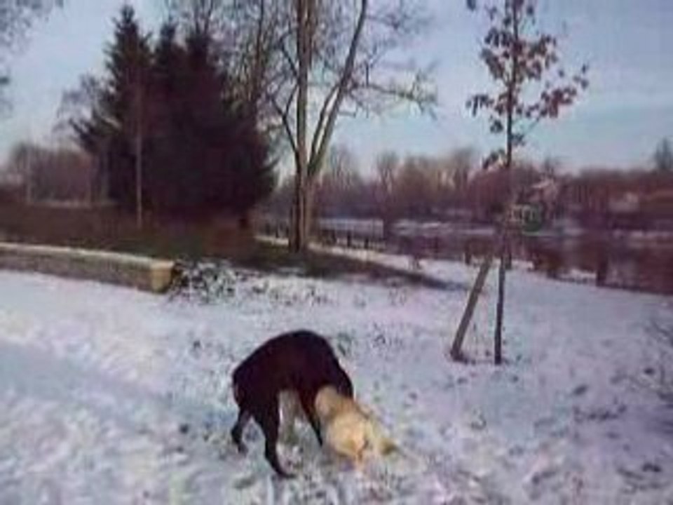 charly et drack_5612