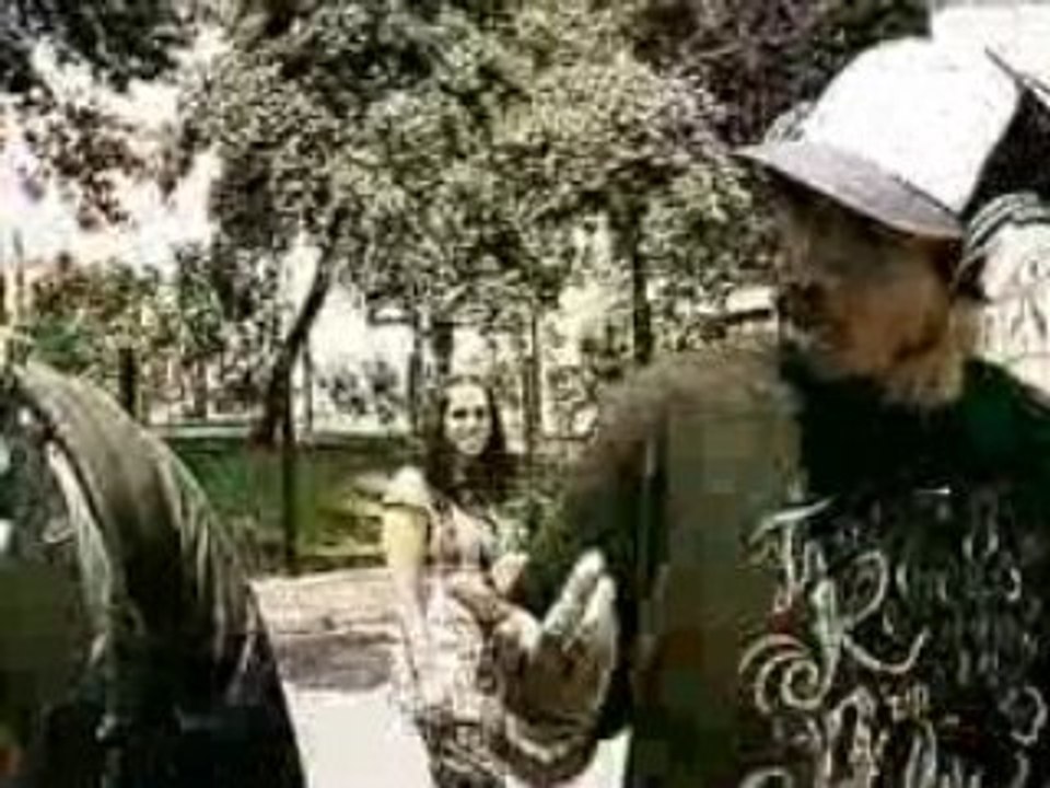 LA SWIJA "AU SOURIRE LEVANT" DANS LES BACS.!! LA PHOTO lol