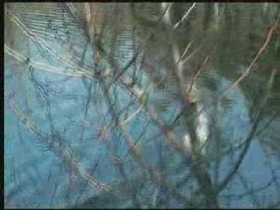 Offshore rc agitator Gérald La Croix Valmer part 2