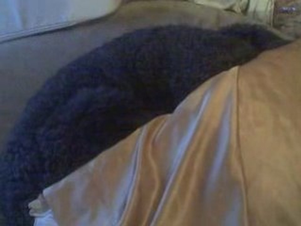 Pepper Embarrassed