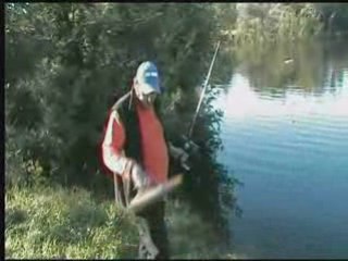 Offshore rc agitator seb la croix valmer 1