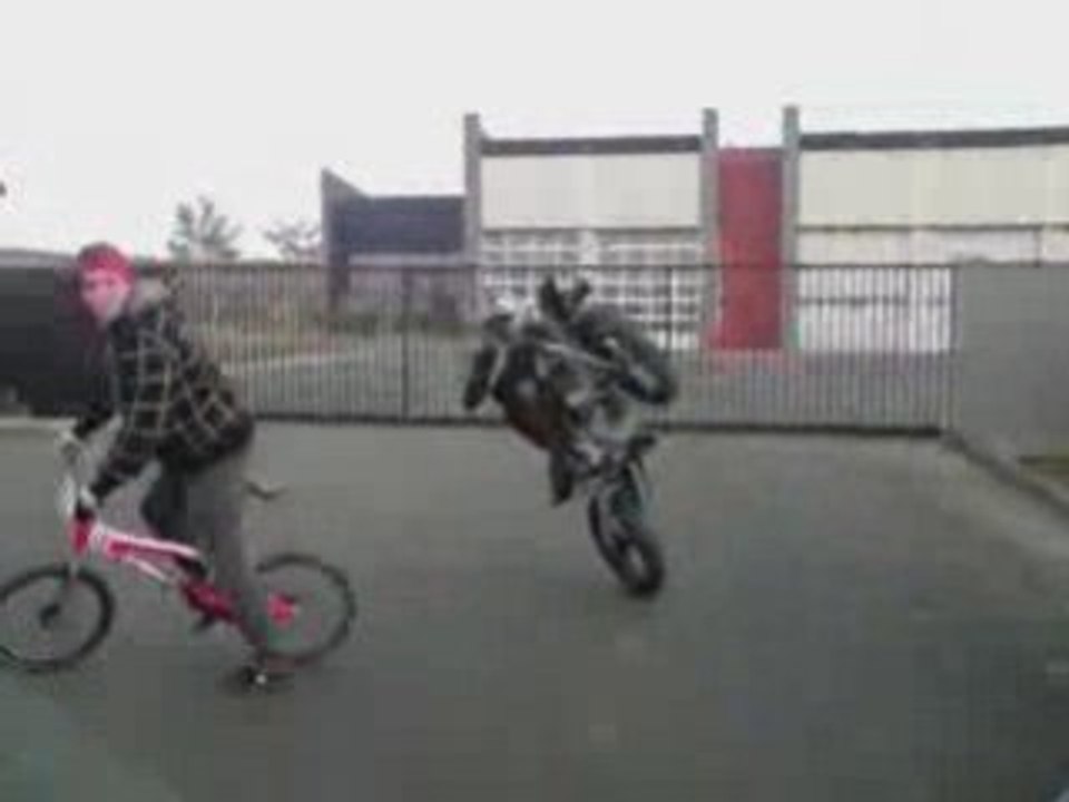 Circle Bebert