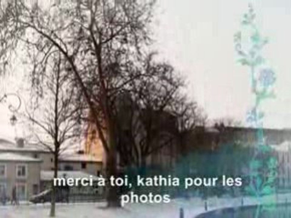 Neige a carcassonne