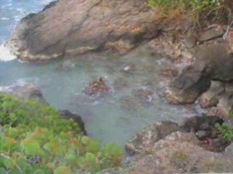 Armin Van Buuren - On The Beach