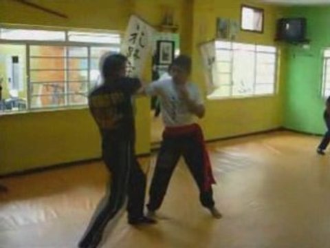MARTIAL ARTS KUNG FU MESTRE GOMES NETO - Técnicas de Combate