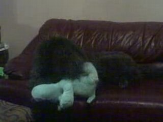 Pepper Goes Ballistic on Losing