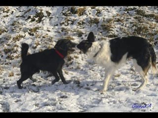 ESSAI DE MISE EN VIDEOS PHOTOS AVEC SSMM