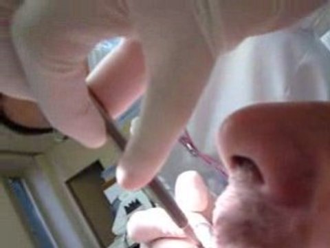 0901 Marie ma dentiste.