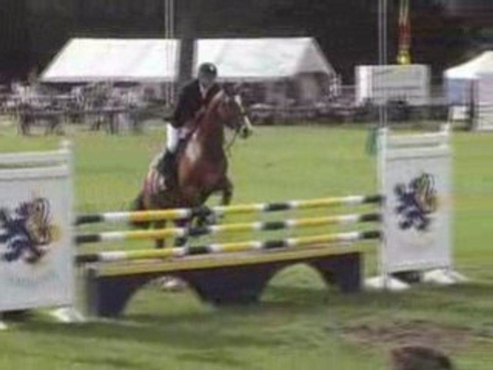 Qui sera de l'arc COMPIEGNE 5.08.2008