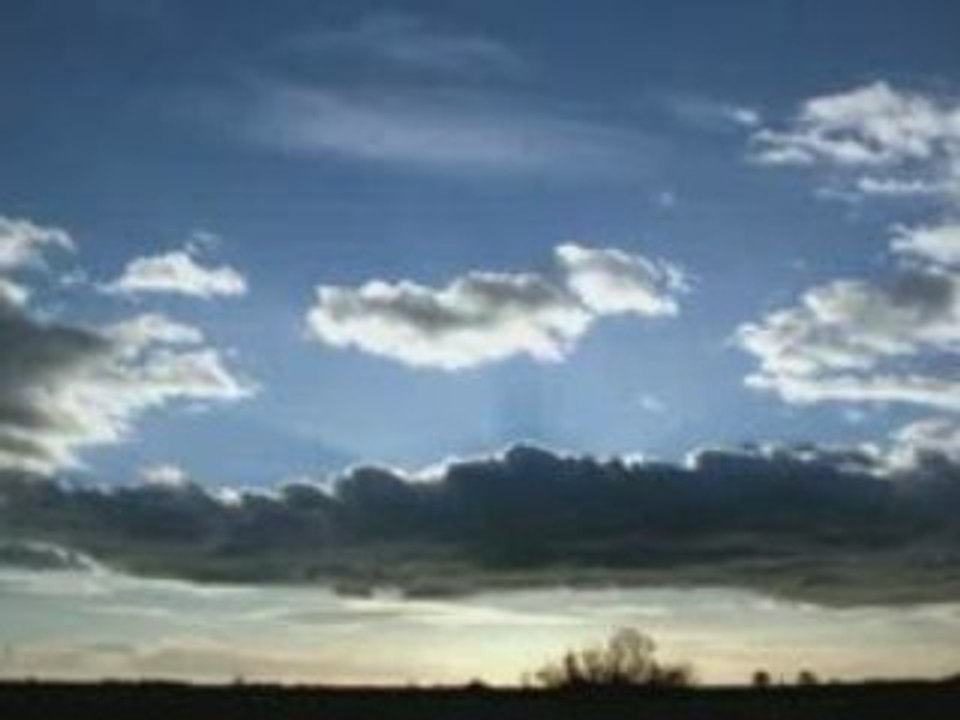 Camargue 12/2008