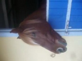 Baladin mange une banane