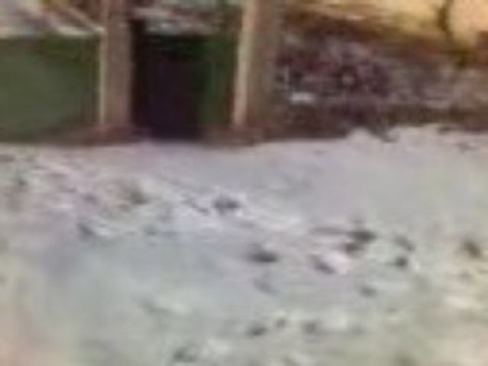 Clip(1)