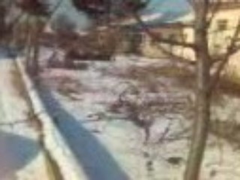 Clip(2)